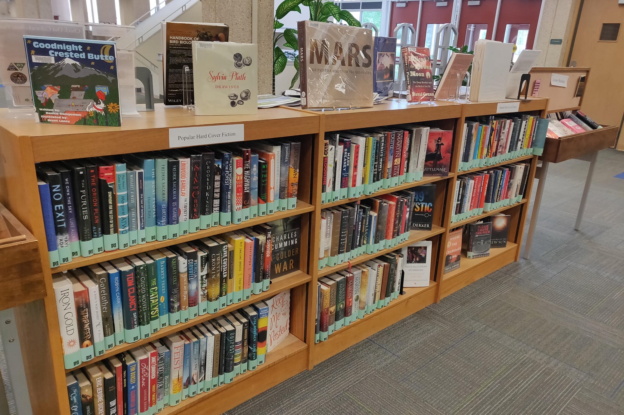 Cataloged books on open shelves in an academic library
