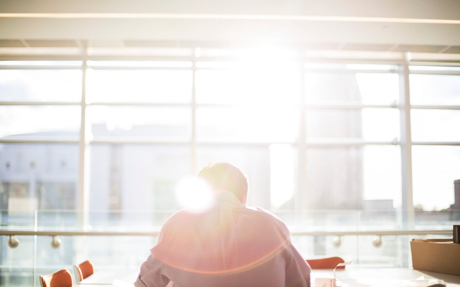 A person reads beside a sunlit office window